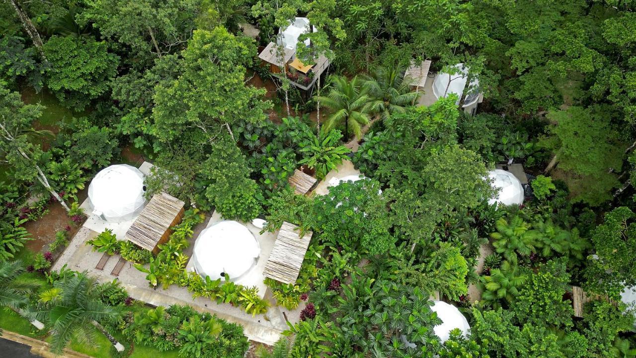 Palo Alto Glamping Hotel Quesada  Exteriér fotografie