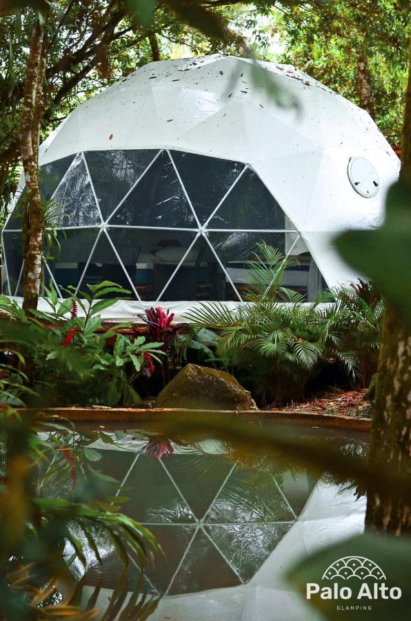 Palo Alto Glamping Hotel Quesada  Exteriér fotografie